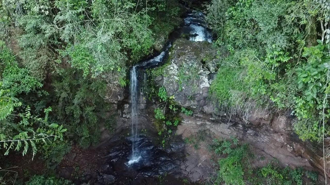 Yasi Yatere Reserva Agroecologica El Soberbio Luaran gambar