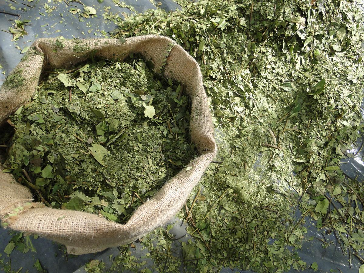 Yasi Yatere Reserva Agroecologica El Soberbio Luaran gambar
